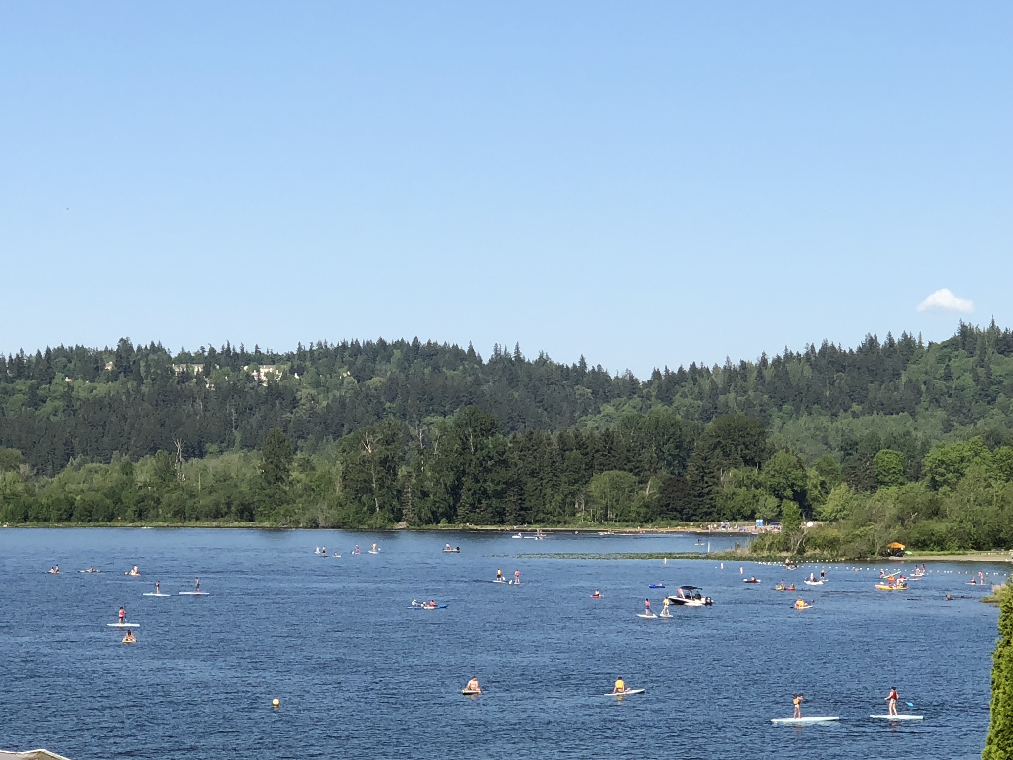 Lake Sammamish